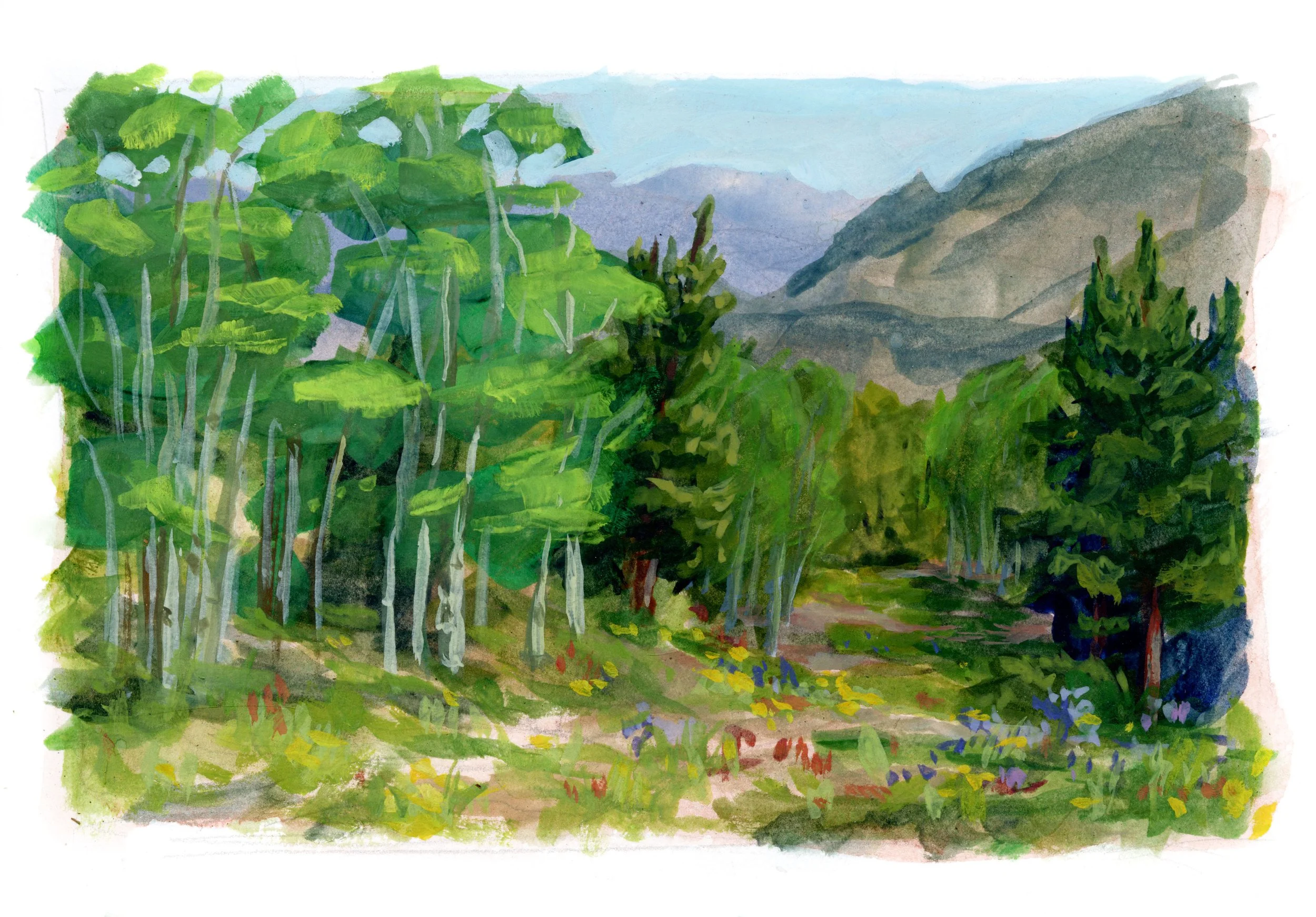 Lottie Lookout copy.jpg