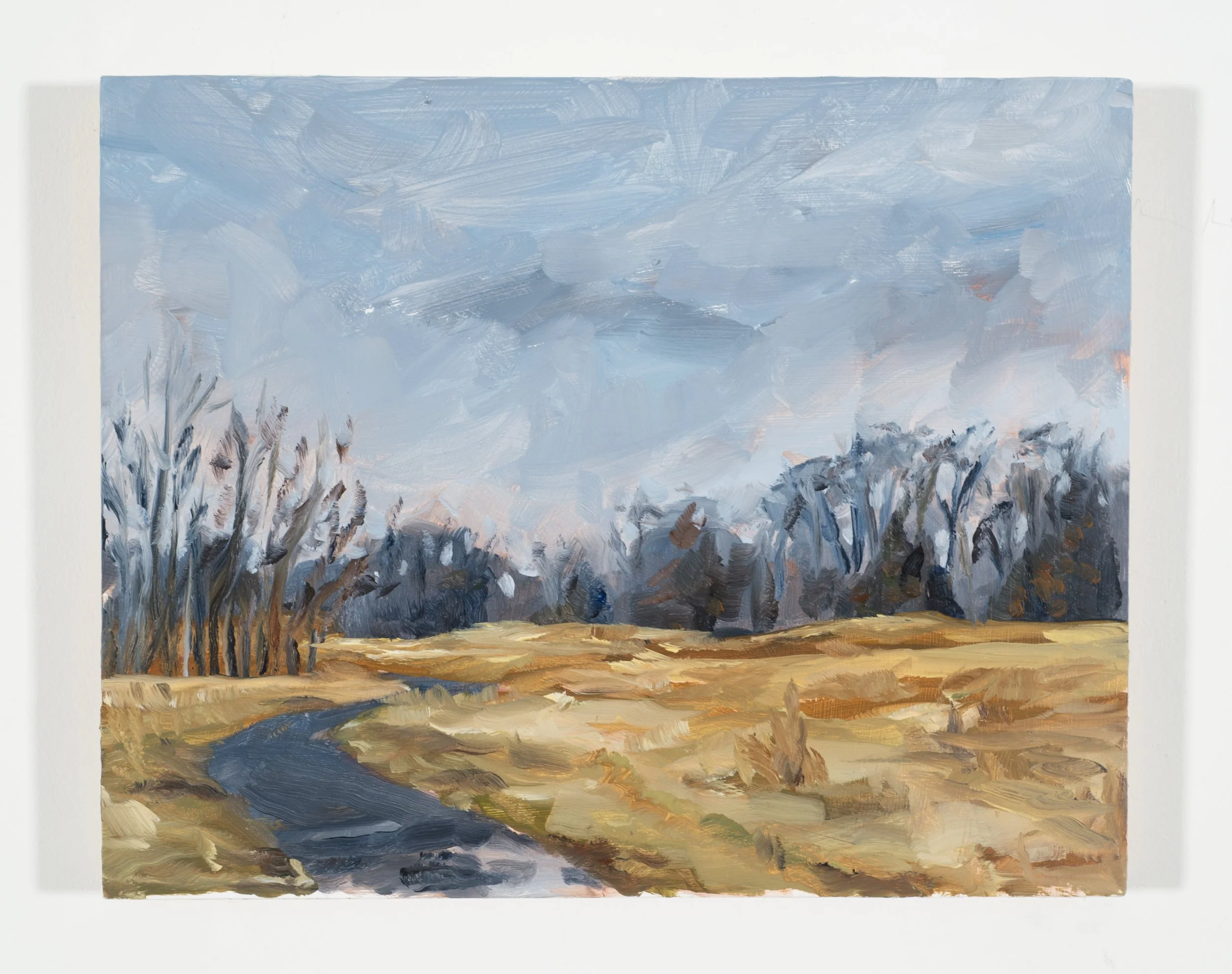 Stillwell Park,
Oil on panel,
10" x 8"