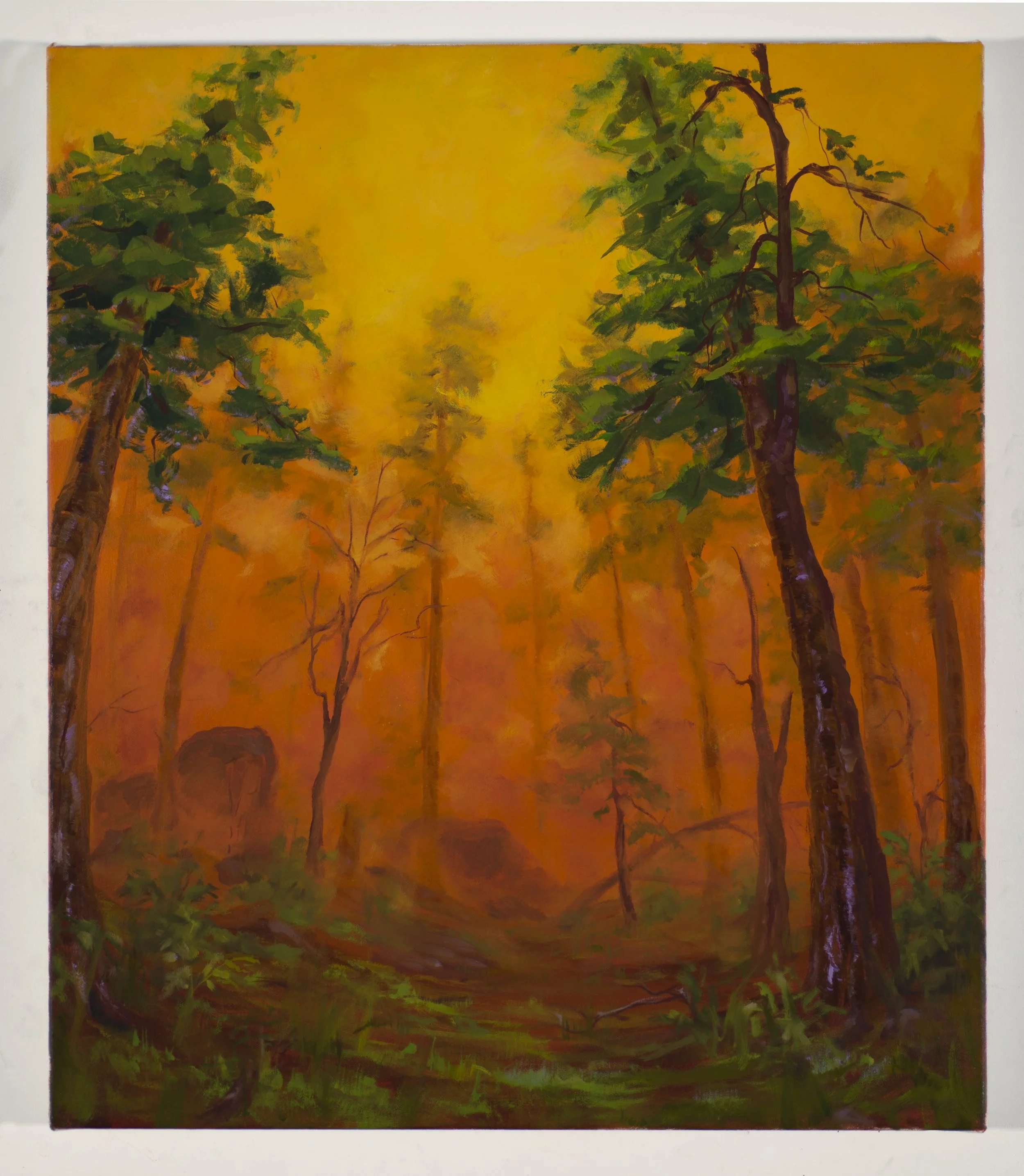 Haze,
Oil on canvas,
26" x 30.5"