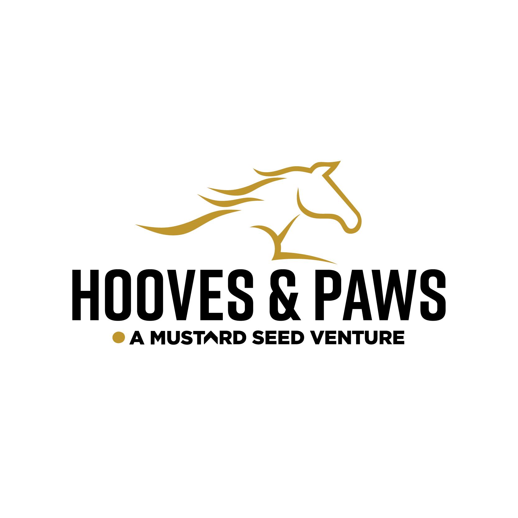 Logo with a black background featuring a gold stylized horse's head and flowing mane, with the words "Equine Excellence" in gold beneath the image.