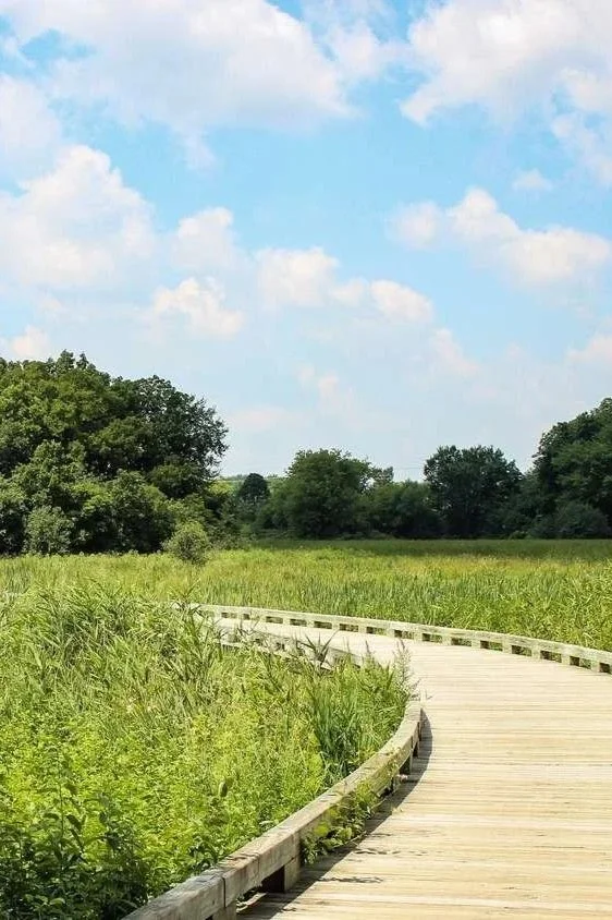 A curved wooden pathway through a lush green field with trees in the background under a partly cloudy sky.