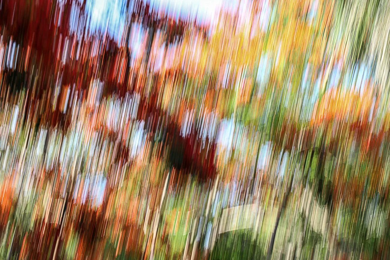 Blurred image of autumn leaves on trees with red, orange, yellow, and green foliage