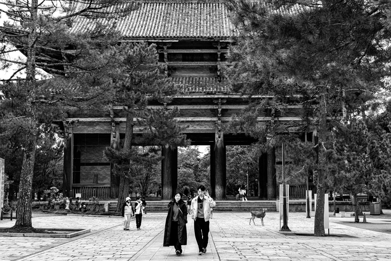 Black and white photo of a traditional Japanese temple gate with trees around it. Several people walking near the gate, including a couple in the foreground and a few others in the background, some with umbrellas. A dog standing on the path, and stre