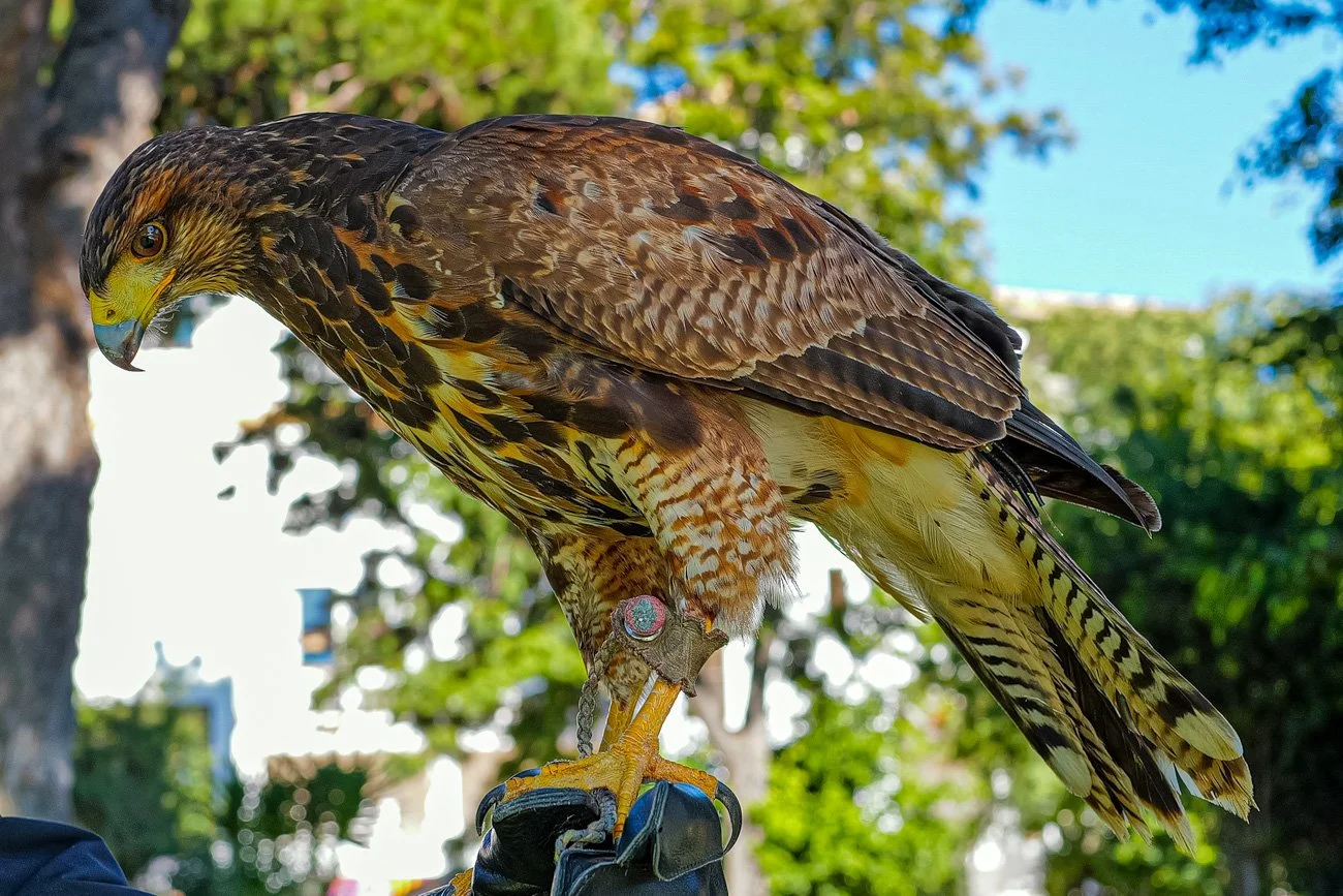 ALGARVE - PORTUGAL 2025 - ALTA-8.jpg