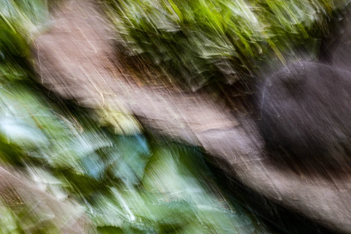 A blurred photo of a rocky outdoor trail with surrounding green vegetation.