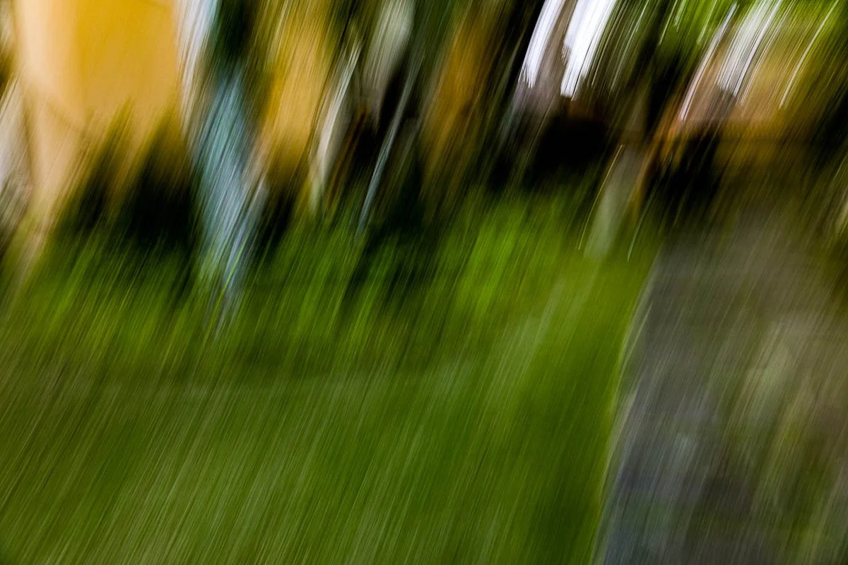 Blurred image with green grass and dark objects in the background
