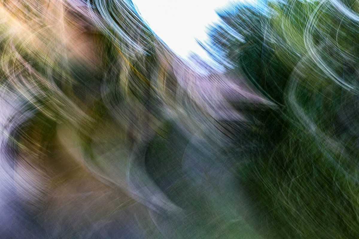 Abstract motion-blurred photograph of trees and sky.