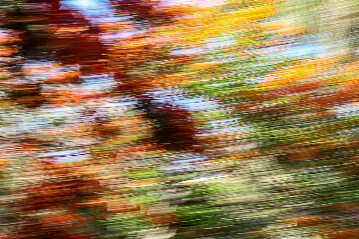 Abstract photo of autumn leaves with motion blur, showing vibrant reds, oranges, yellows, and greens.