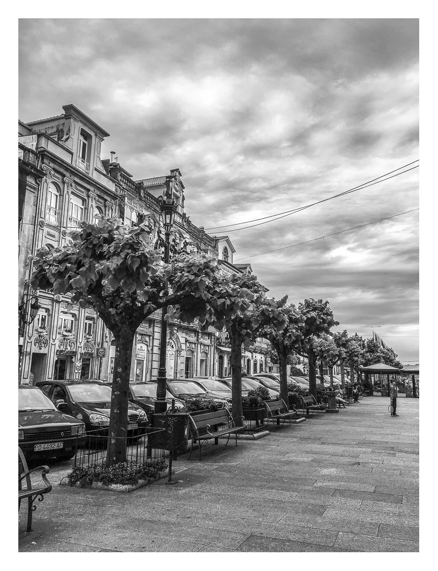 Black and white photo of a city sidewalk with parked cars, benches, and trees lined along an ornate building. The sky is cloudy.