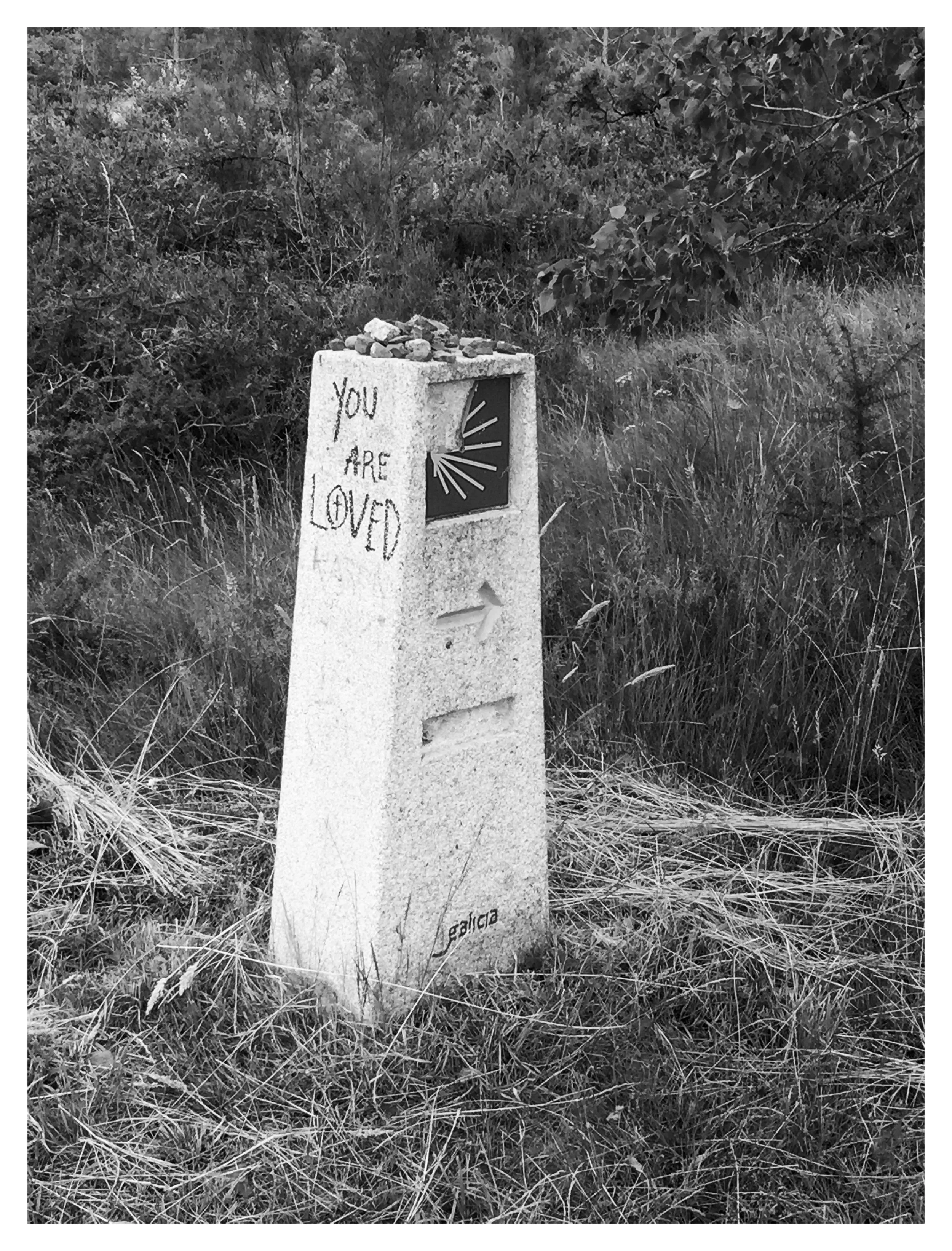 A roadside mile marker in a grassy area with graffiti that reads "You are loved" and a symbol resembling a hand with radiating lines.