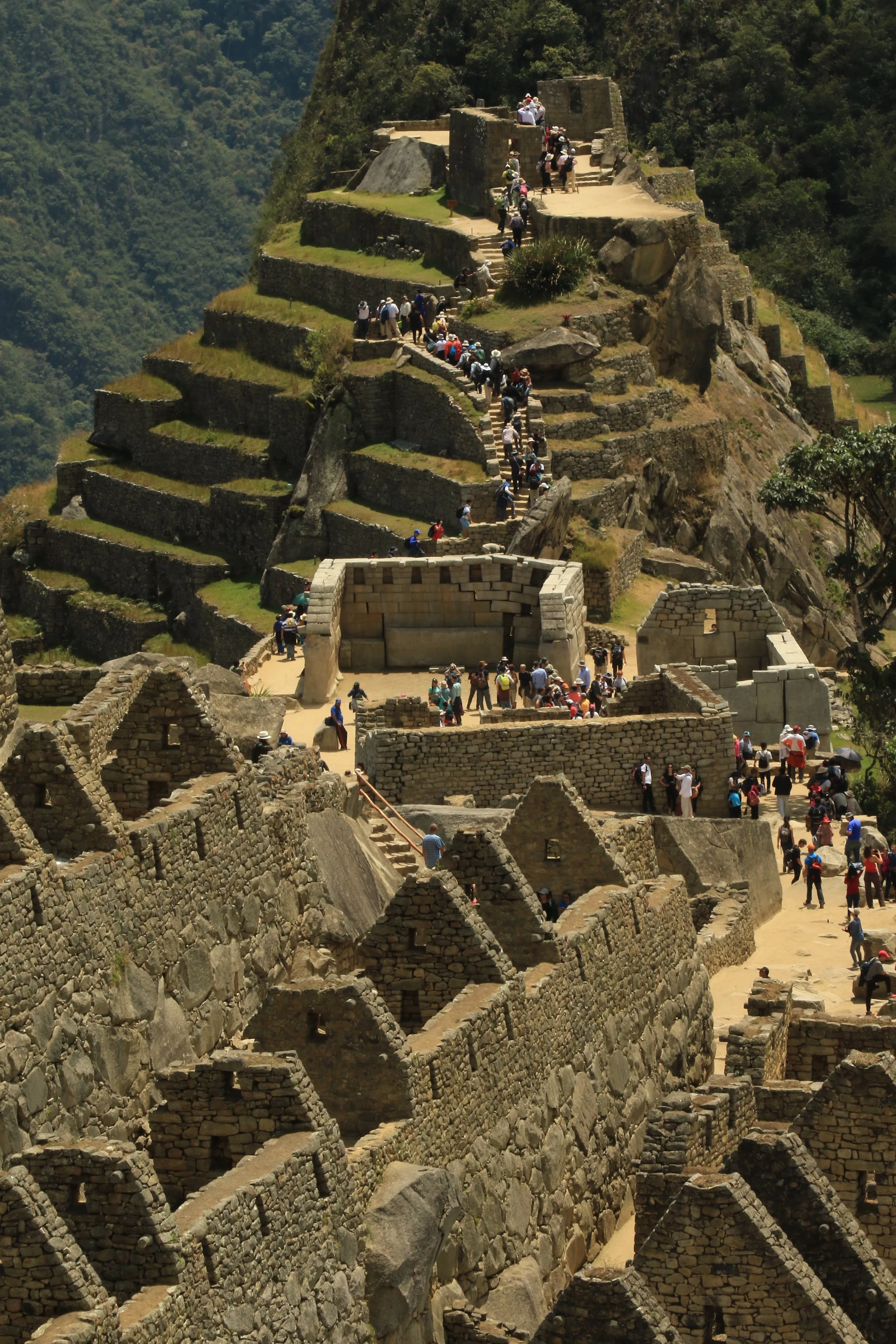 Tourists exploring Machu Picchu, the ancient Incan citadel in Peru, with stone terraces, buildings, and pathways on a mountain surrounded by green forest.