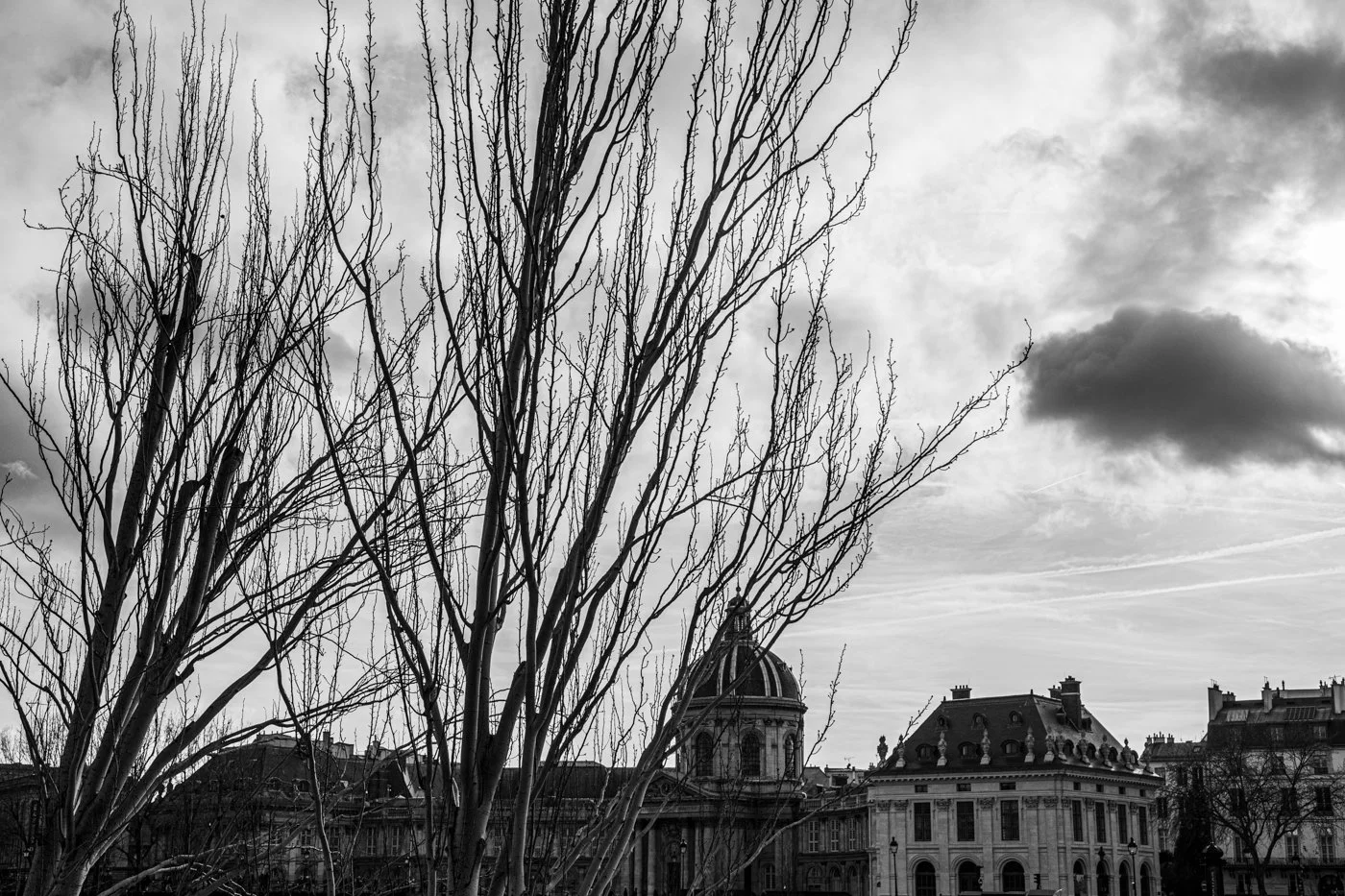 Black and white photograph of leafless trees with bare branches in the foreground and historic European-style buildings with domed roofs and ornate architecture in the background under a cloudy sky.