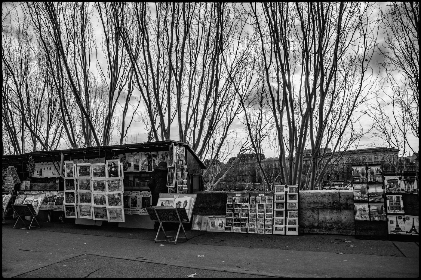 A black and white photo of an outdoor street art or photograph stall, with trees in the background and buildings visible across the street.