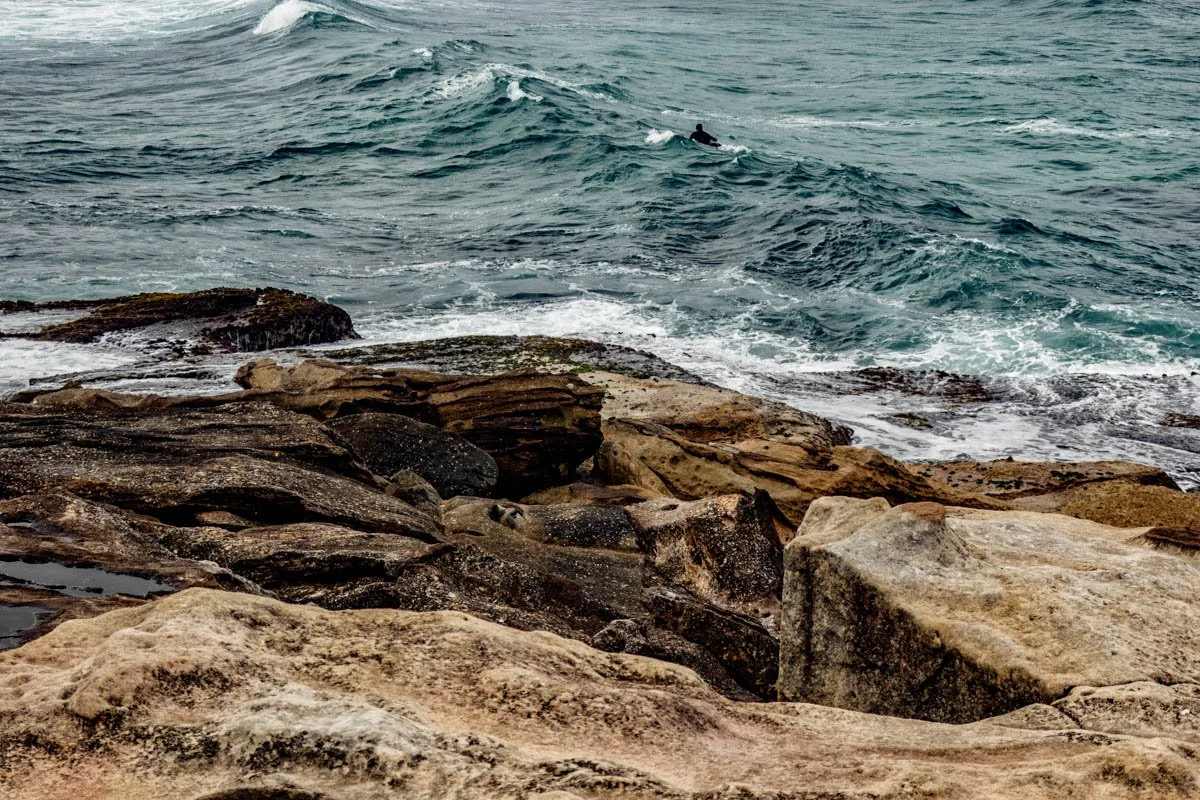ON THE CREST AT BONDI.jpg