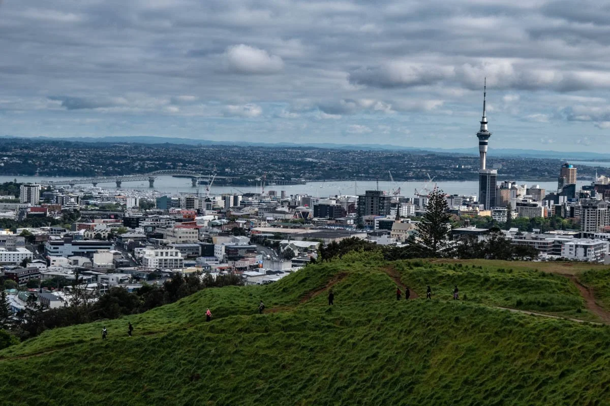 MOUNT EDEN CITY  VIEW JPG.jpg