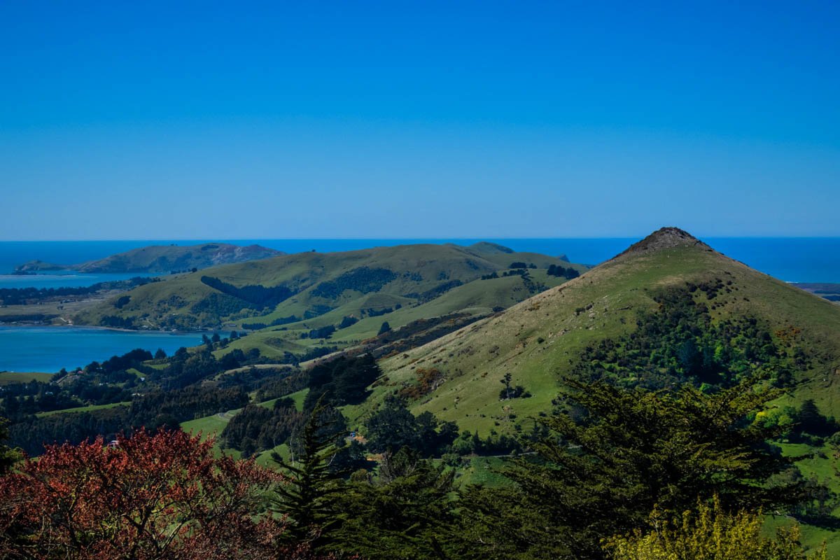 VIEW FROM THE ROAD II.jpg