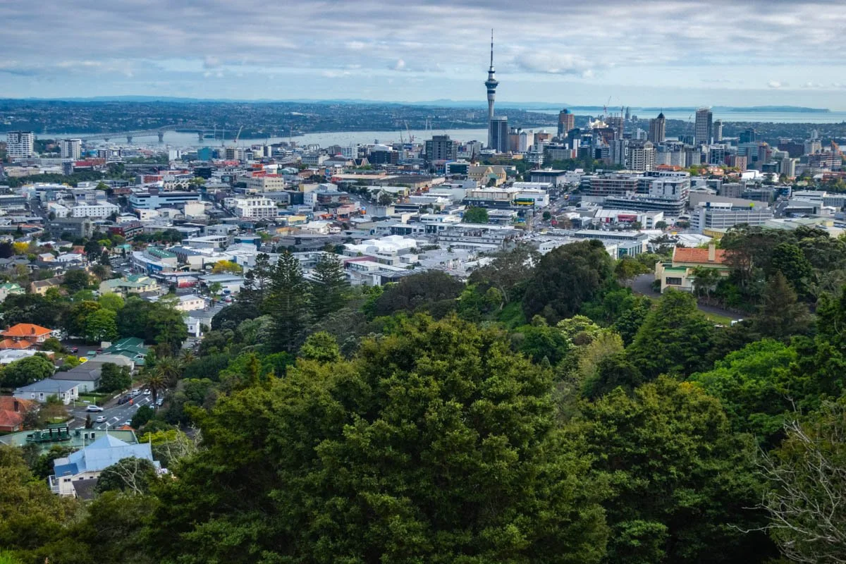 Auckland City View.jpg