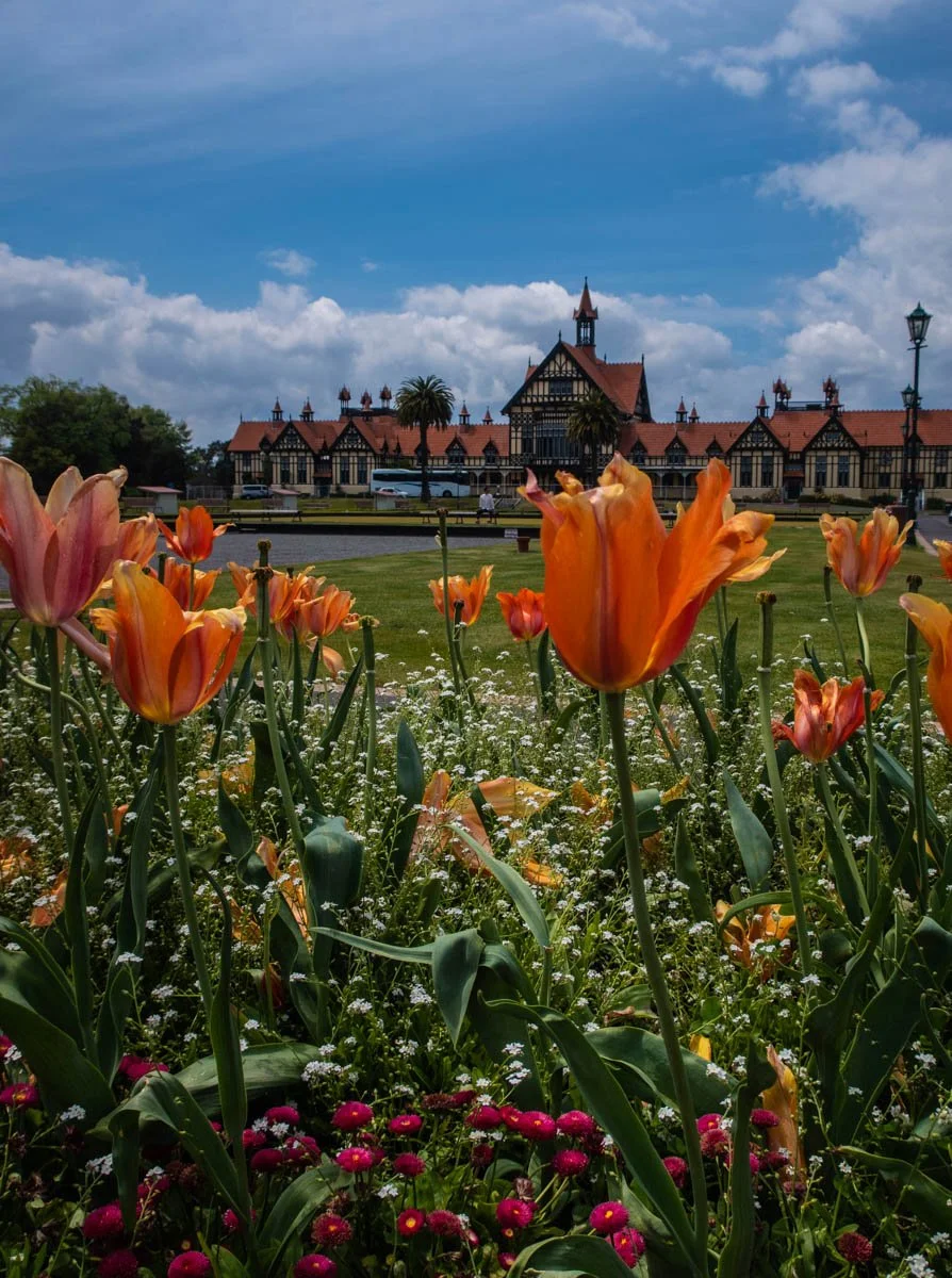 AMIDST THE GARDEN.jpg