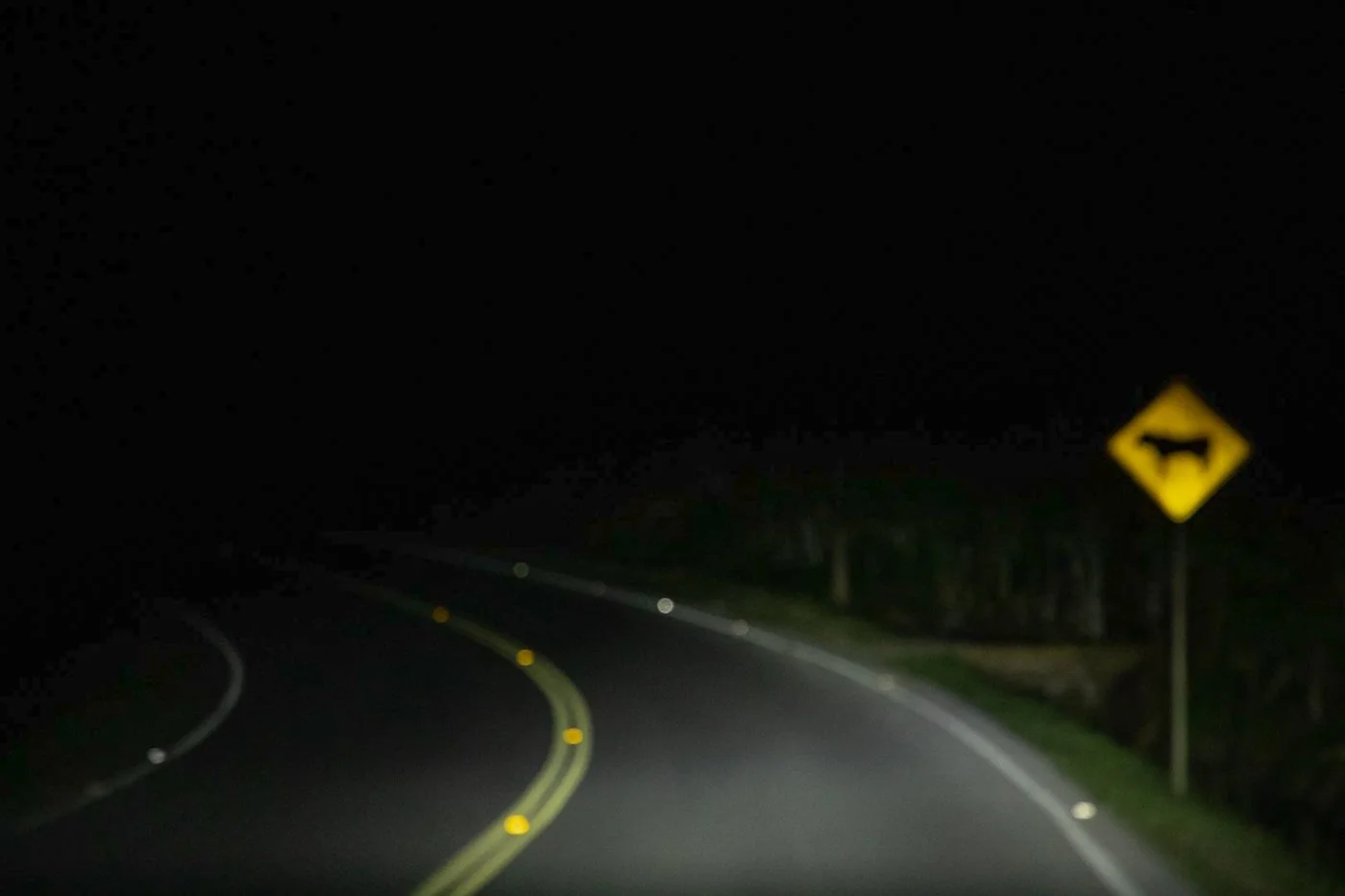 A dark road at night with a yellow road sign indicating possible presence of cattle or livestock.
