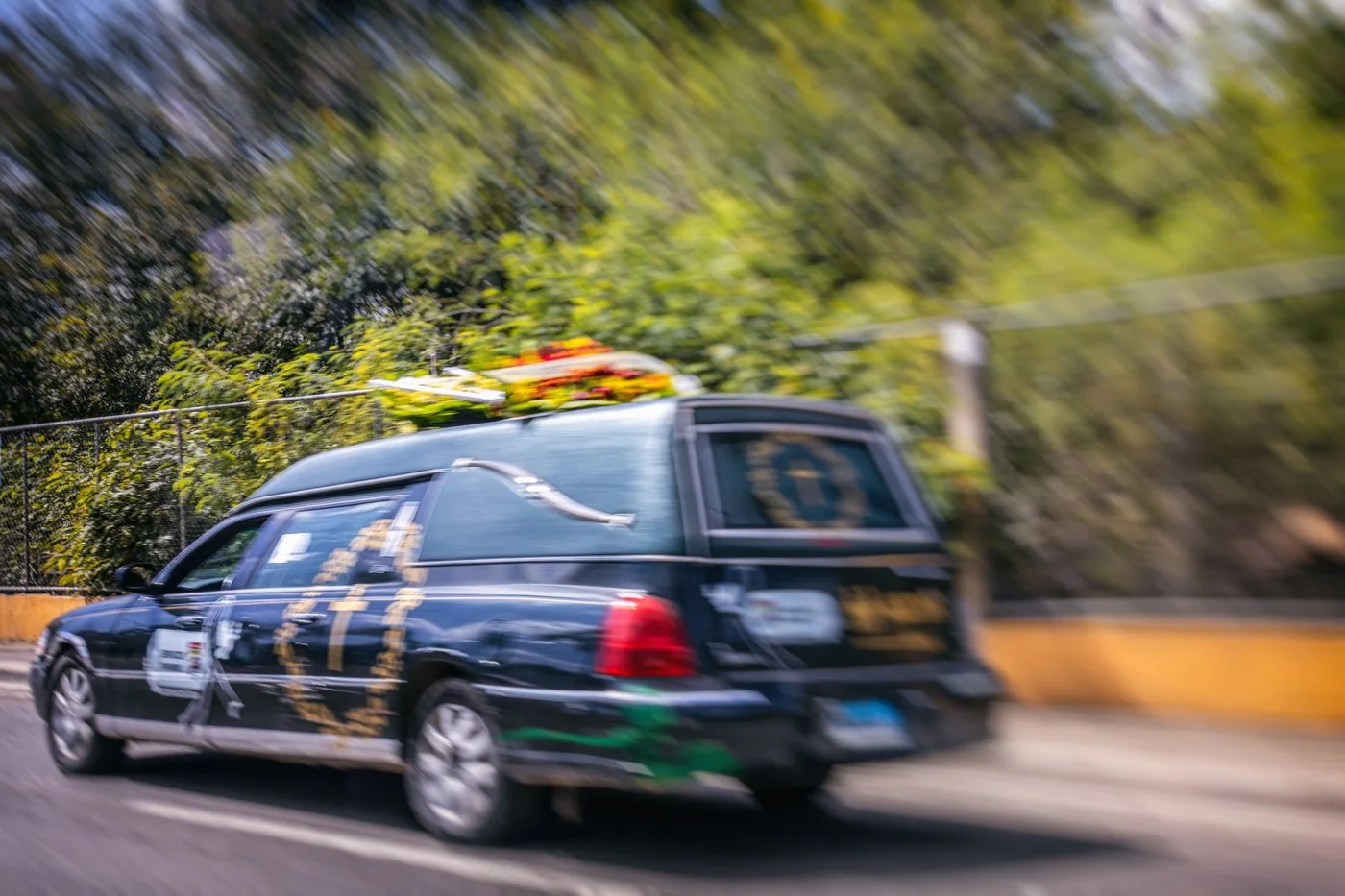 A hearse with a black exterior and gold detailing, driving on a road with a yellow curb and a fence, with blurred green trees in the background.