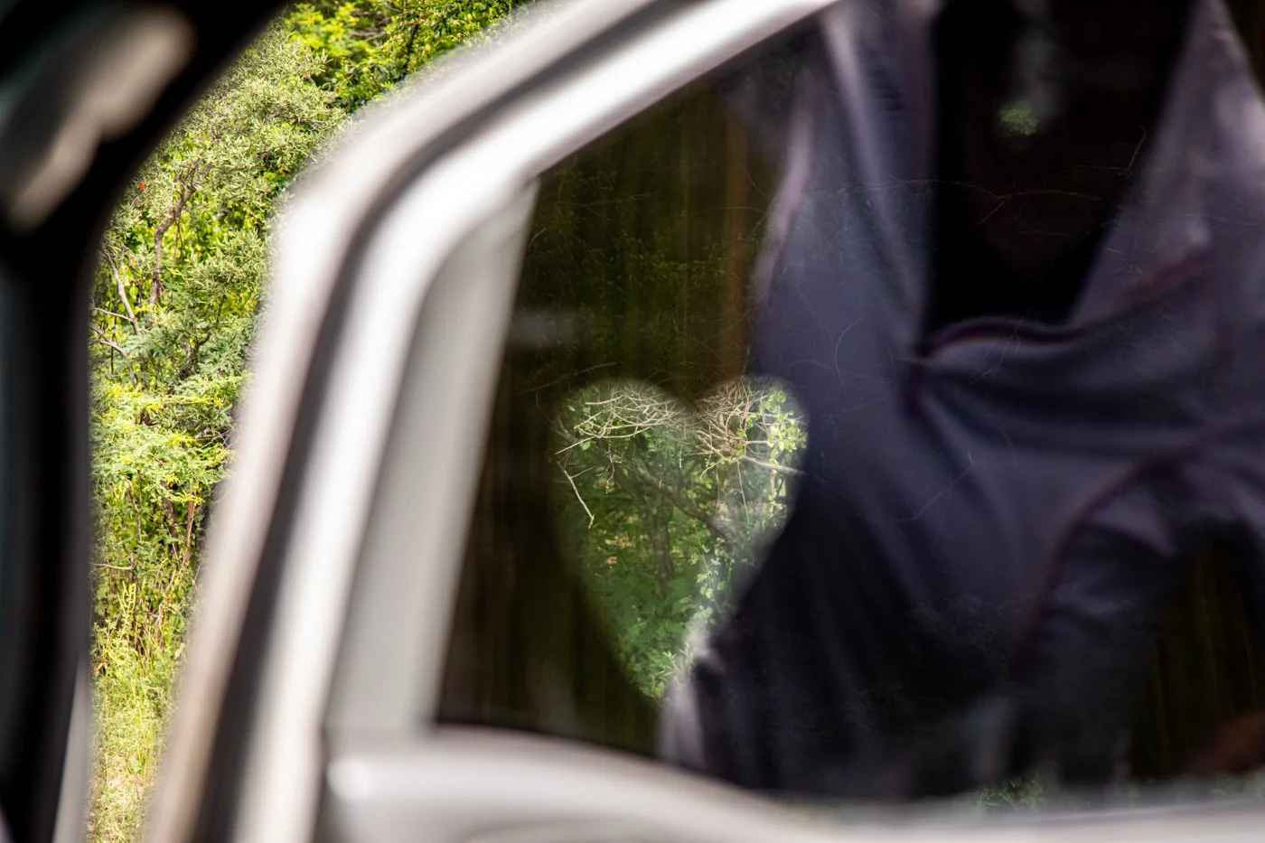 A reflection of trees and bushes in the rear window of a vehicle, with a person in dark clothing standing nearby.
