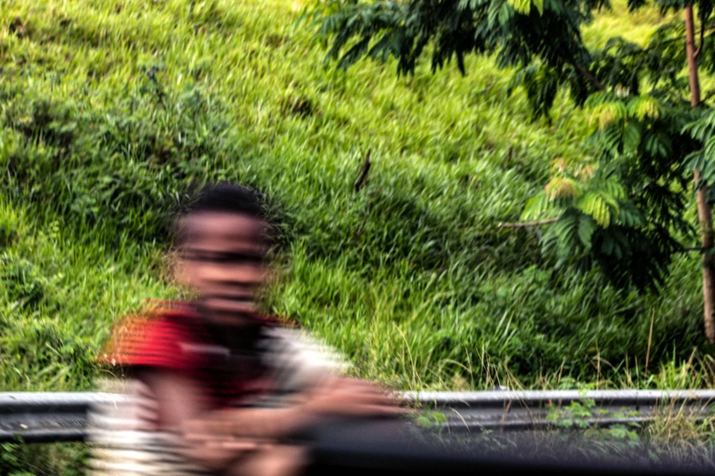 Blurred image of a person wearing glasses, riding a motorcycle on a road with green foliage in the background.