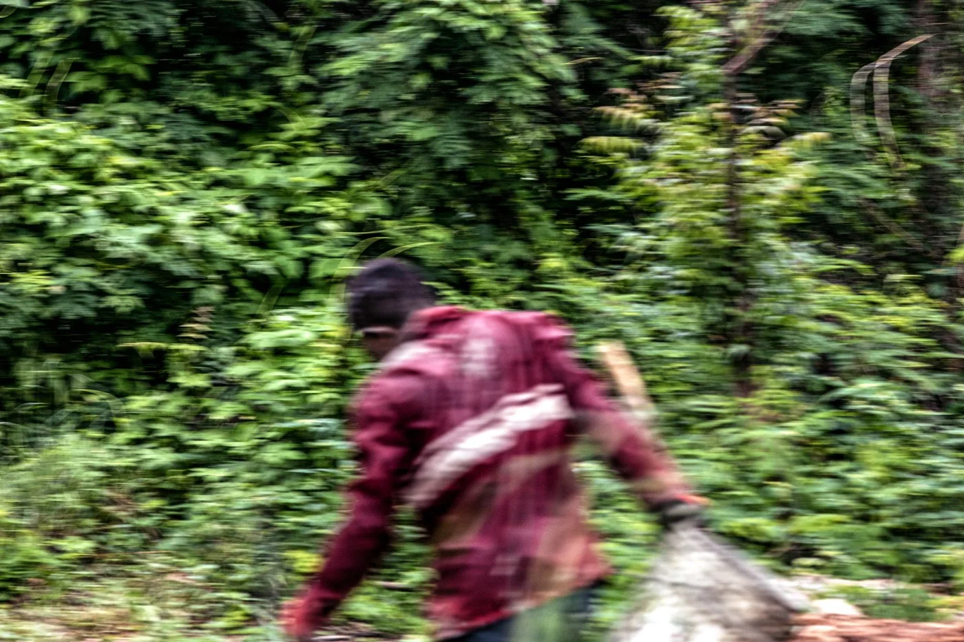 A person wearing a red plaid shirt and a backpack walking through a dense green forest.