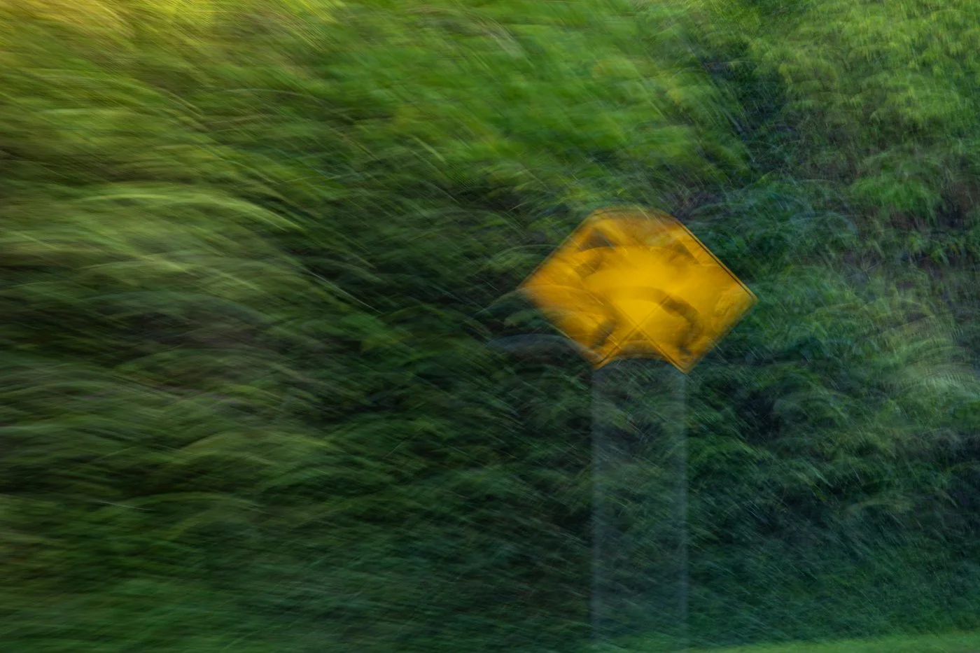 Blurred image of a yellow road sign in a grassy area, with motion effect.