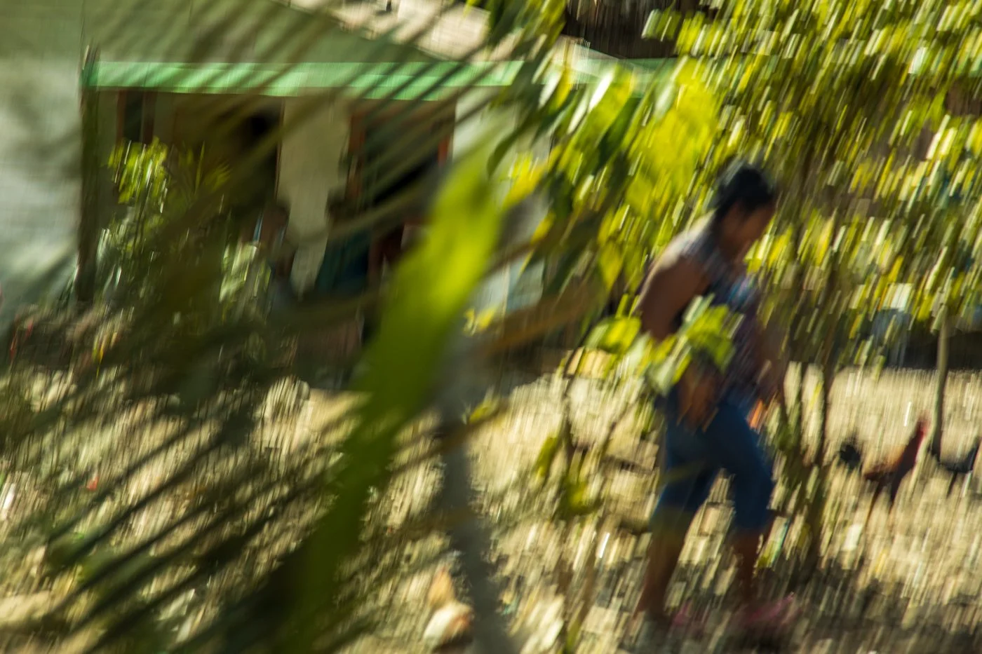 A person walking outdoors near a chicken, with a blurred background of trees and a woman near a house.