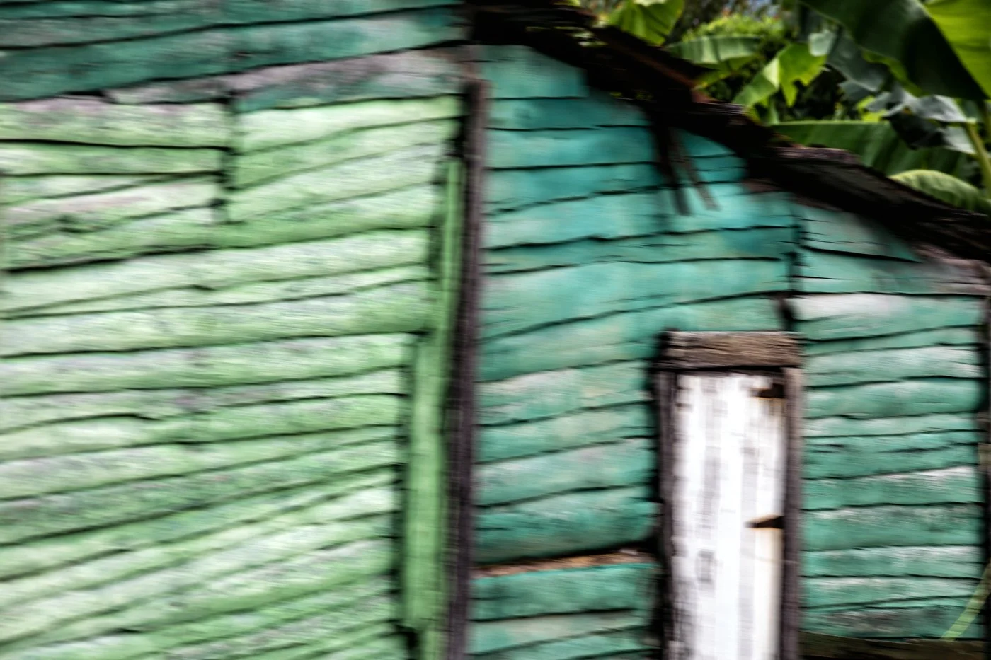 Blurred image of an old wooden house with green painted walls and a small window, surrounded by lush green foliage.