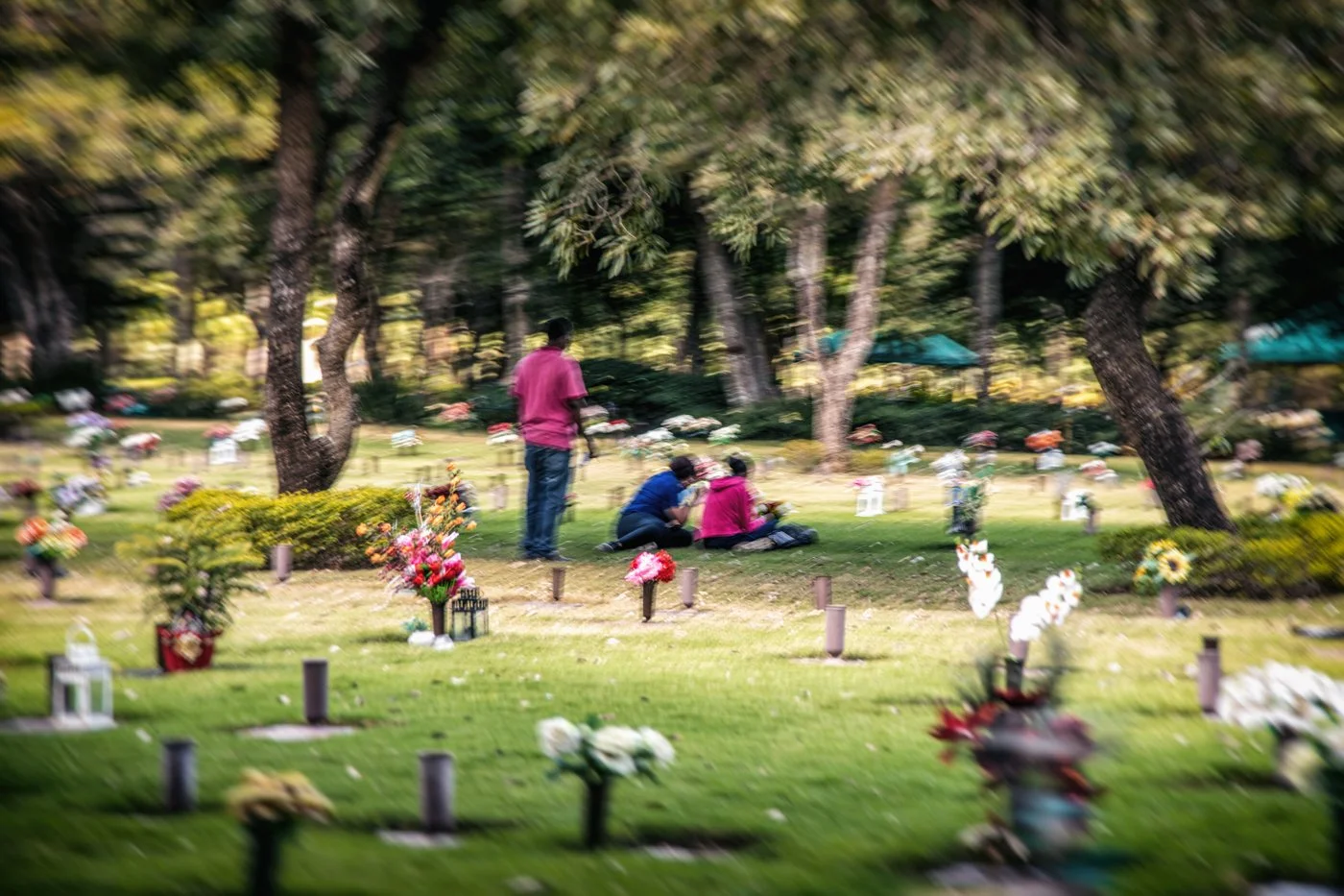 People visiting a cemetery with headstones and flowers, surrounded by large trees and shaded areas.