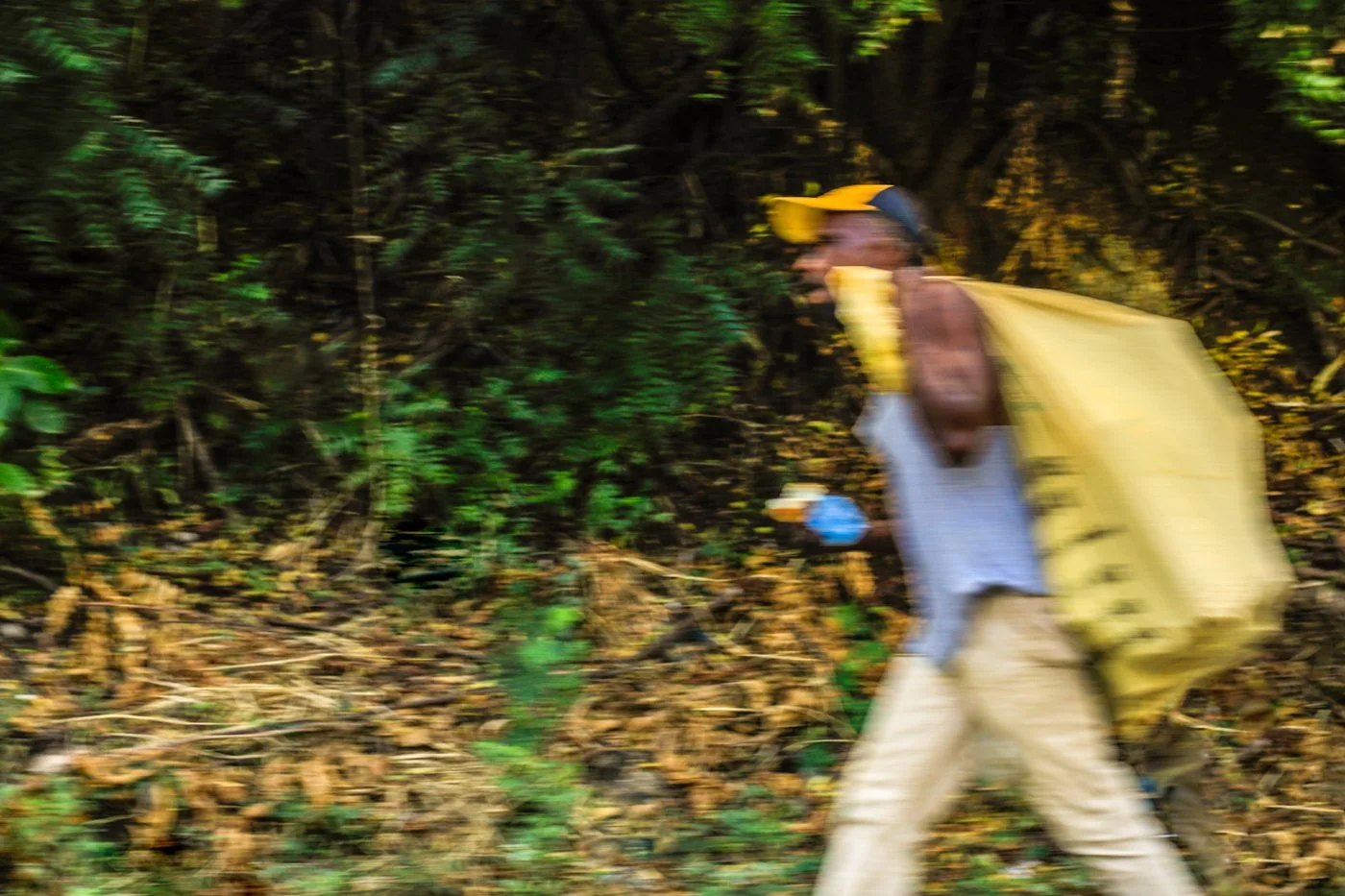 A man wearing a yellow cap, sunglasses, a yellow backpack, a shirt, and khaki pants hiking through a forested area, holding a smartphone in his right hand.