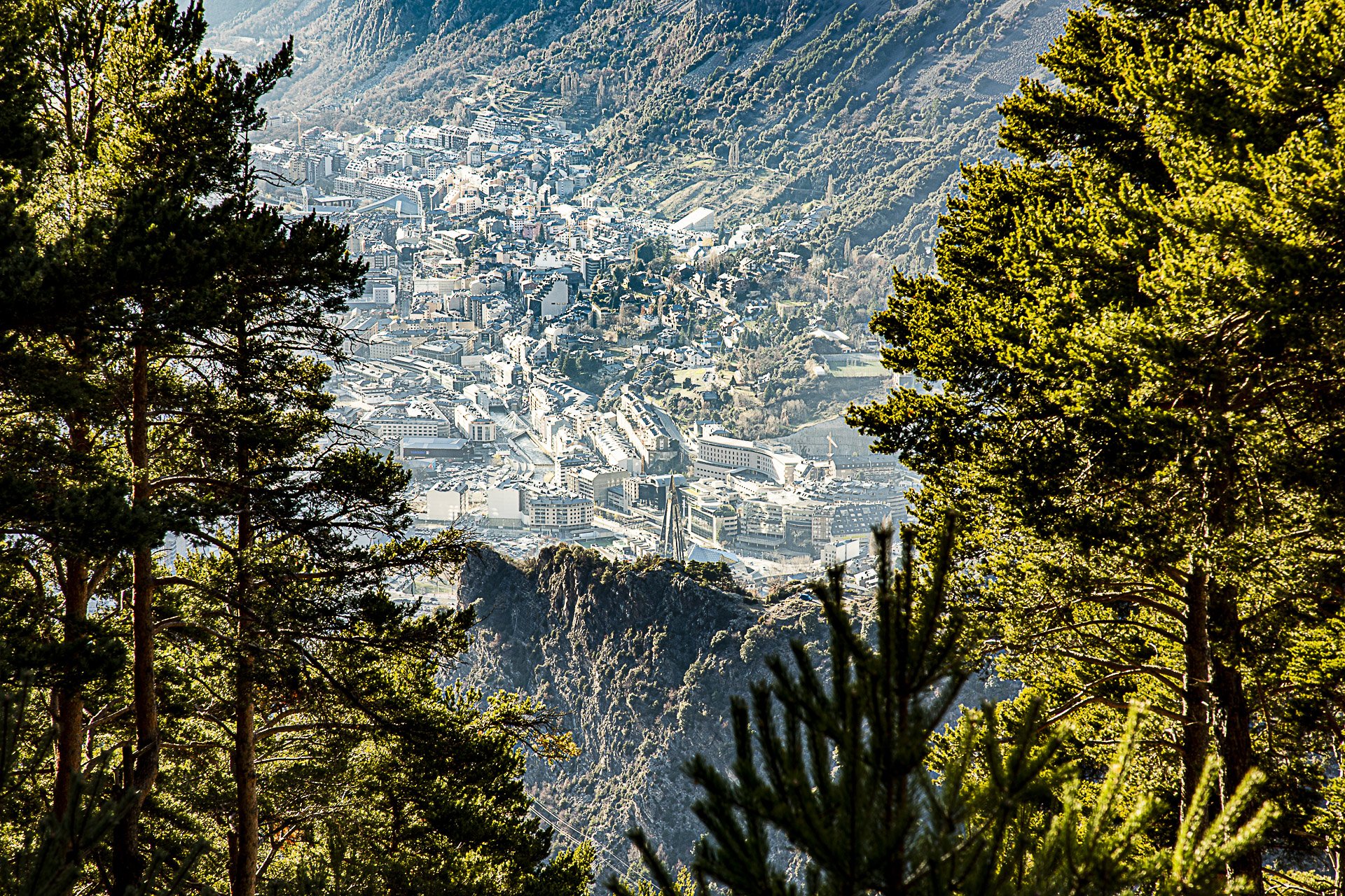 A view of a city through a forested mountain area, with tall trees in the foreground and city buildings in the background.