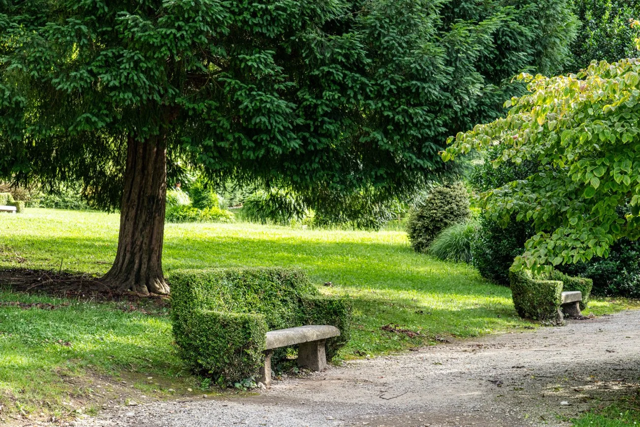ITALIA, LOMBARDÍA, LAGO DE COMO 2024 Alta-9.jpg