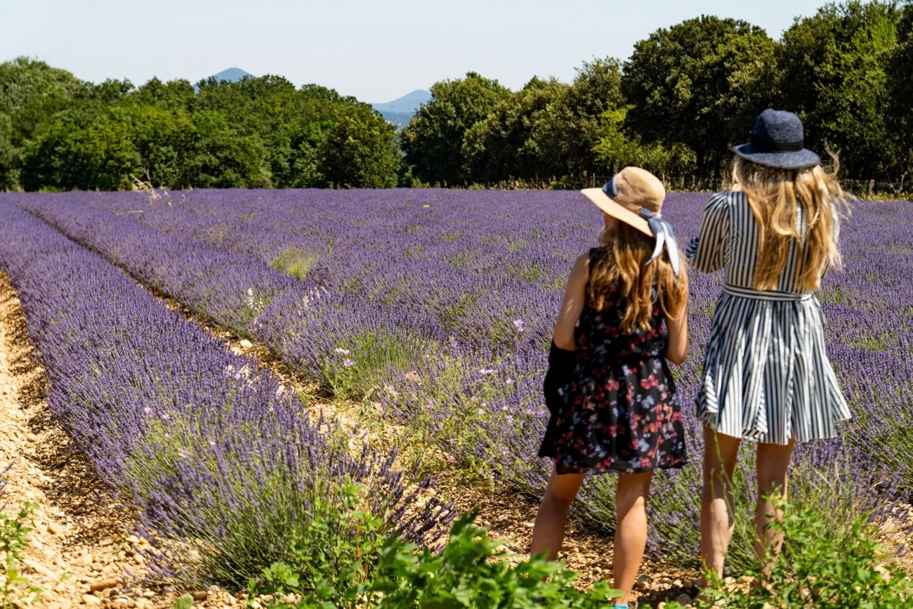AMA SUR DE FRANCIA 2023 Alta-76.jpg