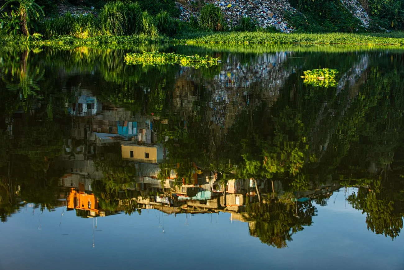 A lake reflecting a hillside neighborhood with multiple colorful buildings and greenery, with water lilies floating on the lake surface.