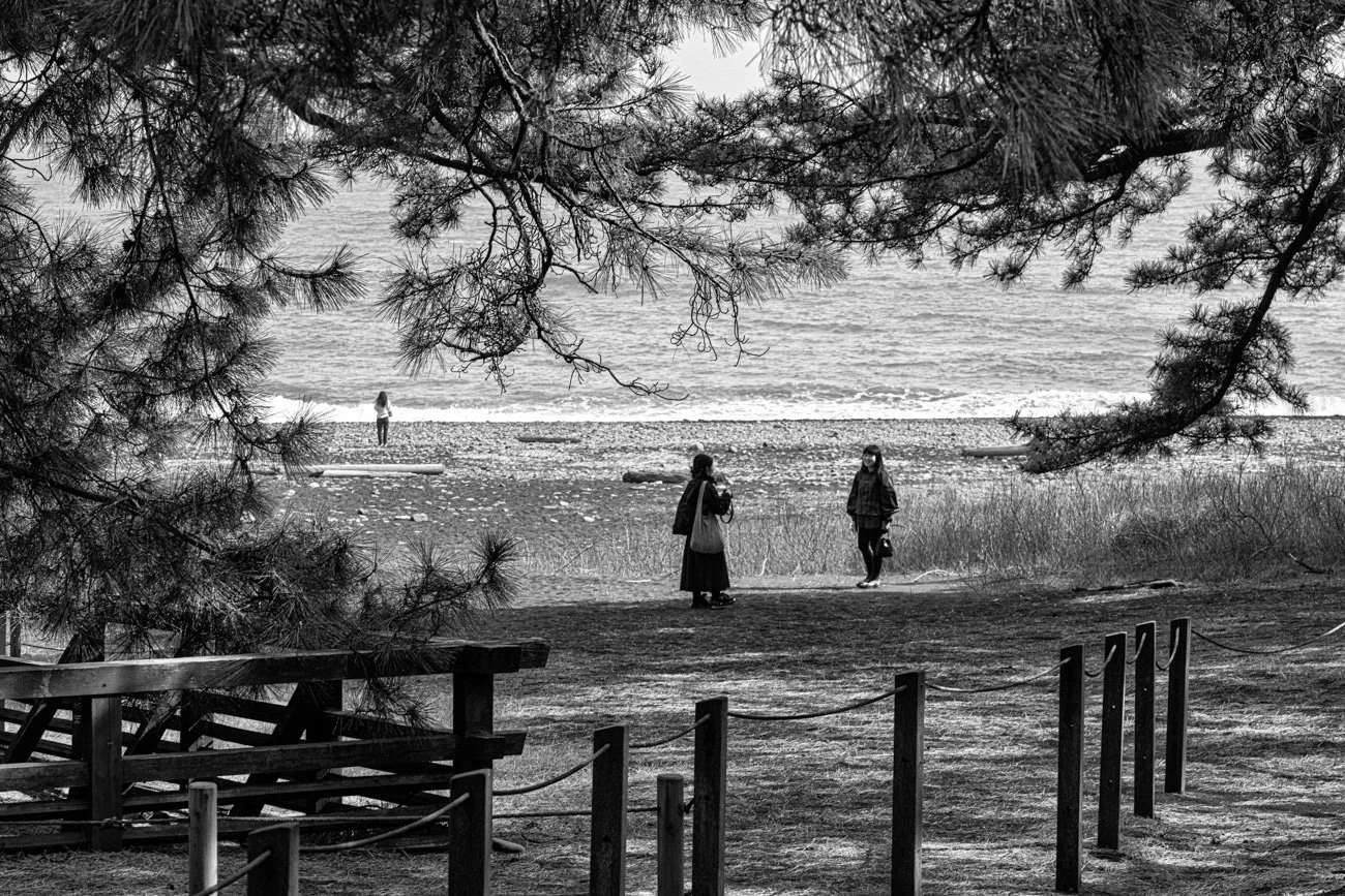 Black and white photo of three women standing on a beach, framed by tree branches overhead, with the ocean in the background.