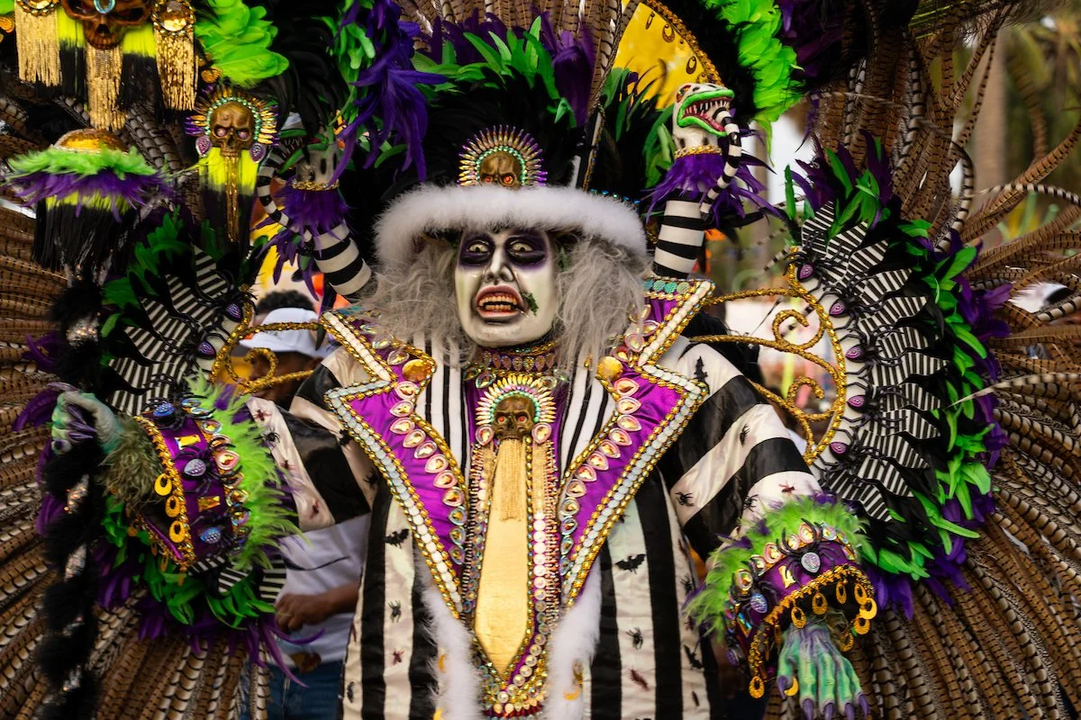 A person in an elaborate costume with black and white striped patterns, colorful feathers, and skull decorations. They are wearing face paint with exaggerated makeup, and their costume features prominent jewelry and bright colors, suggesting a festiv
