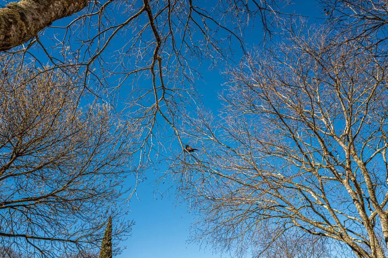 ALGARVE - PORTUGAL 2025 - ALTA-29.jpg