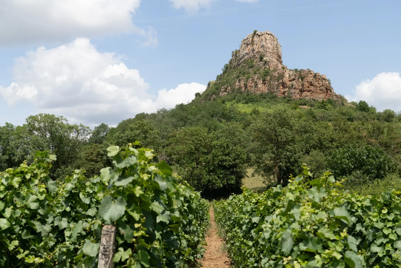 AMA SUR DE FRANCIA 2023 Alta-127.jpg