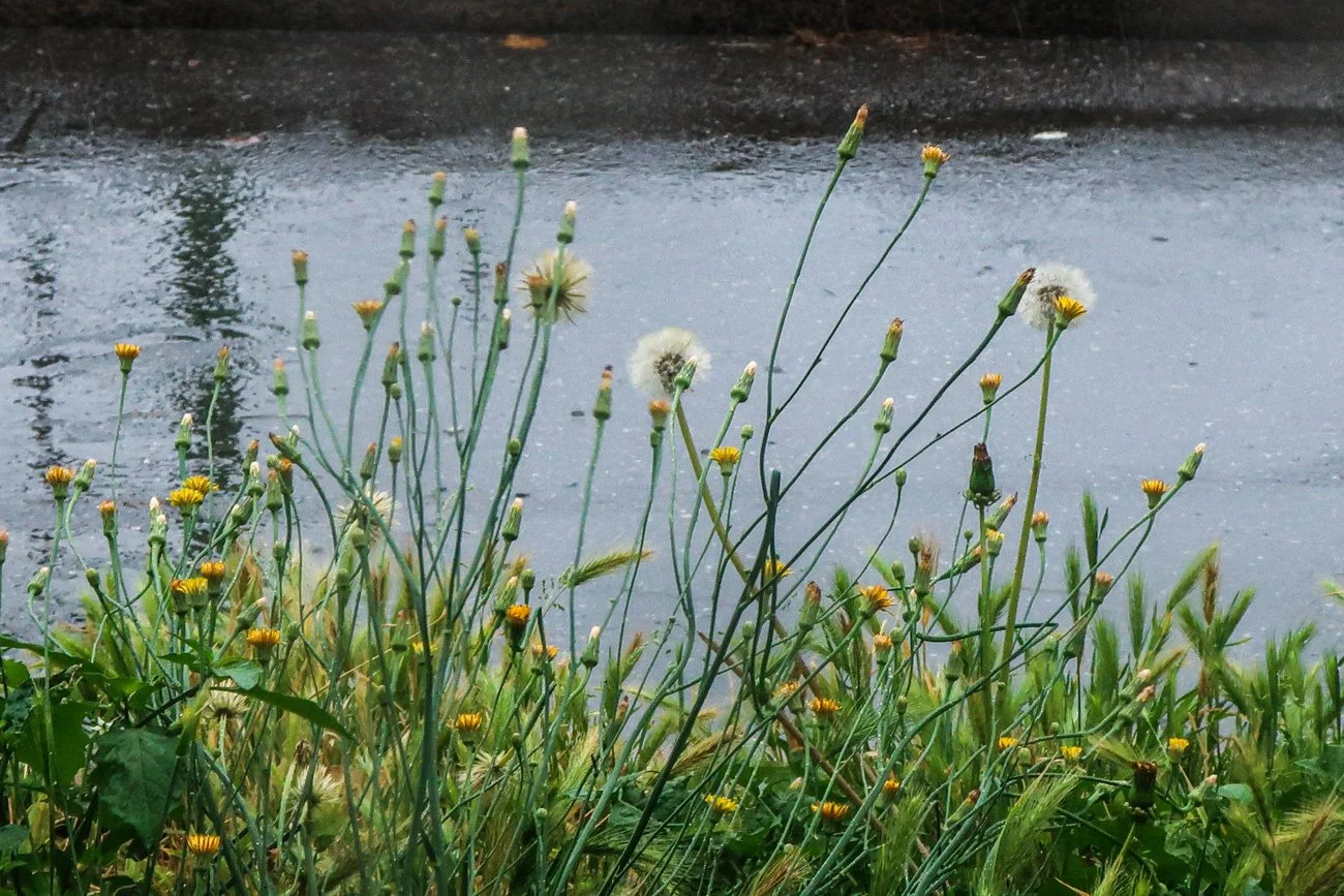 PORTUGAL 2024 Alta-55.jpg