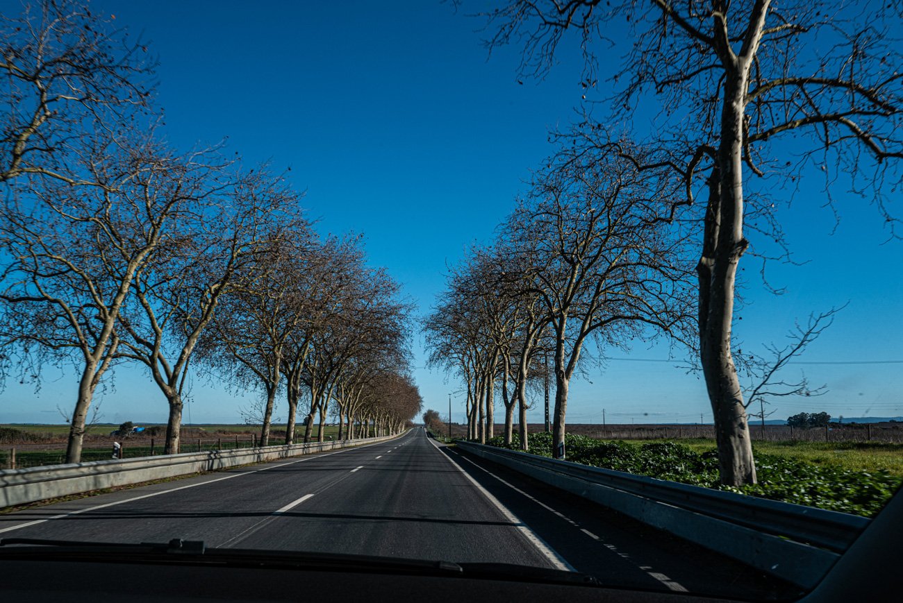 ALGARVE - PORTUGAL 2025 - ALTA-49.jpg