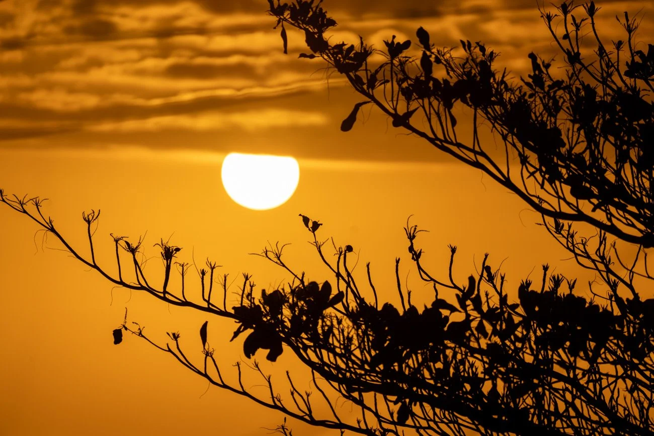 CUBA 2024 - ALTA-180.jpg