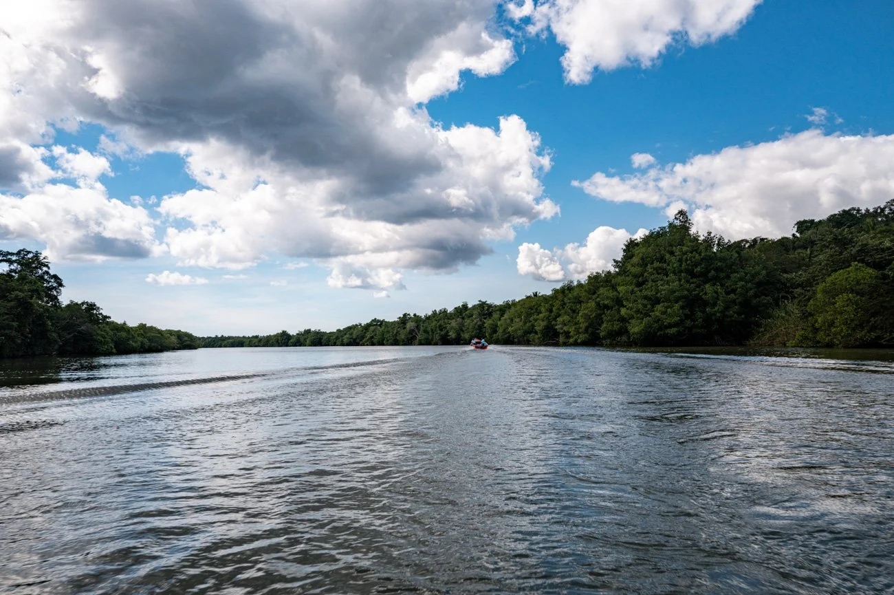 View of a river with trees along the banks under partly cloudy sky, with a boat in the distance creating ripples in the water.