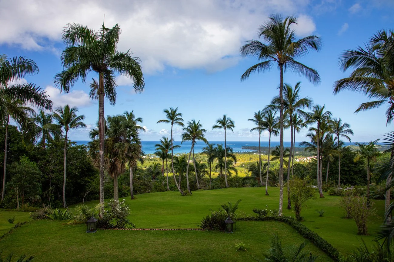 Tropical landscape featuring palm trees, green grass, and a view of the ocean in the distance with a blue sky and some clouds.