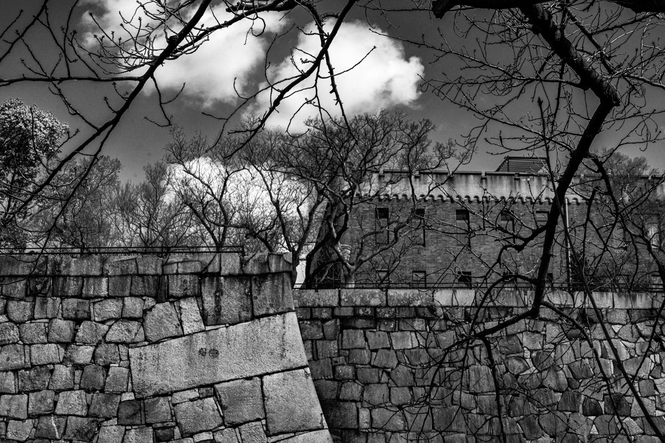 Black and white photo of leafless trees in front of an old stone wall and a building in the background under a cloudy sky.