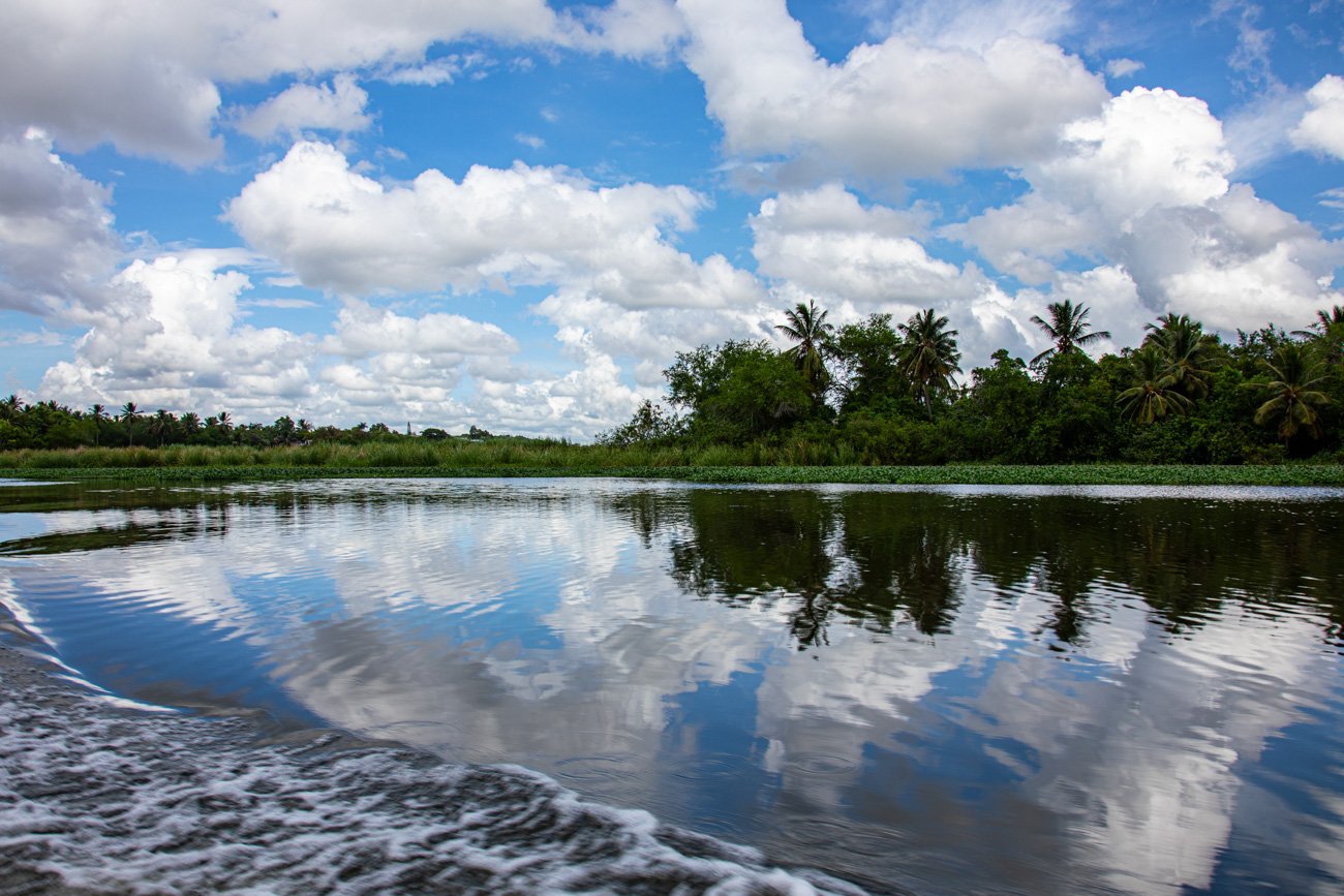 A river with lush greenery and palm trees along the shore under a partly cloudy sky, with its reflection visible in the water.