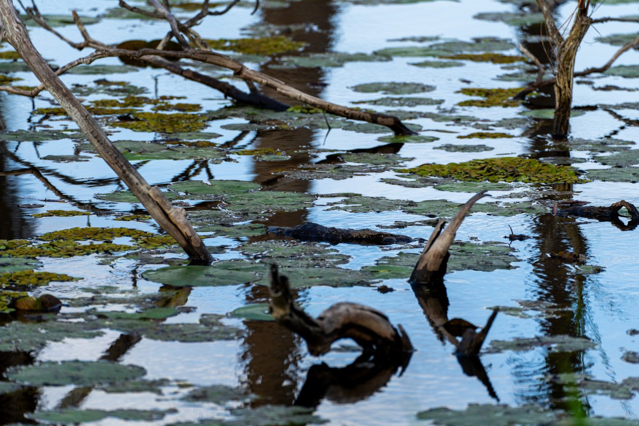 CUBA 2024 - ALTA-175.jpg