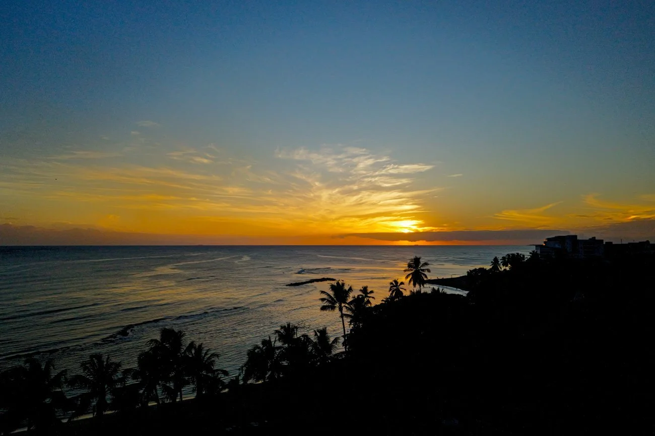 Sunset over the ocean with a clear sky, palm trees along the shore, and silhouetted buildings in the distance.