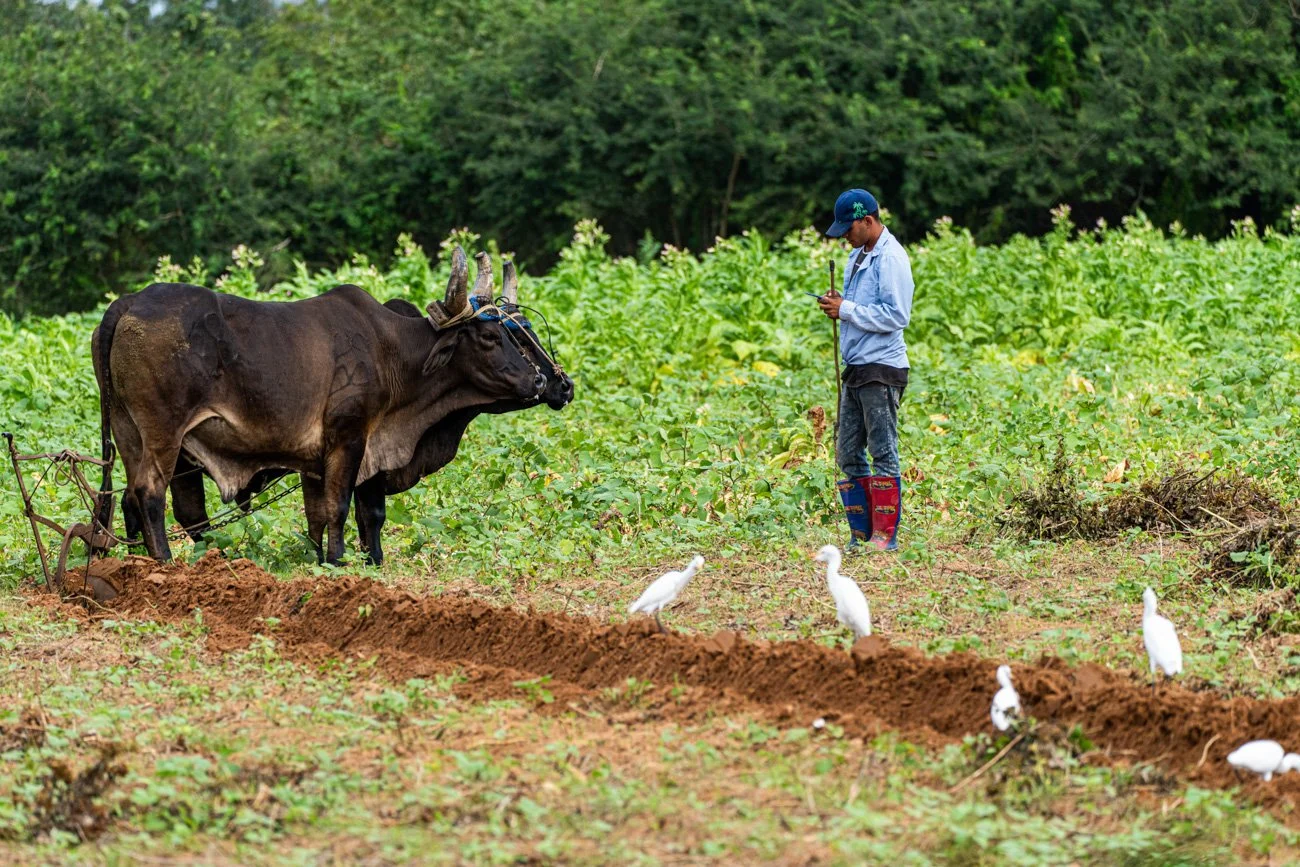 CUBA 2024 - ALTA-47.jpg